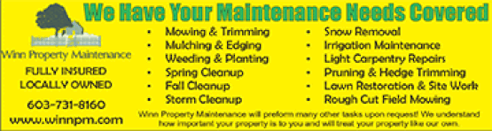 Winn Property Maintenance ad